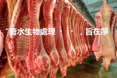 “廢水生物處理，旨在凈化水源，守護(hù)碧水藍(lán)天”